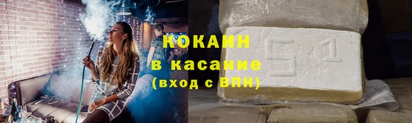 индика Краснотурьинск
