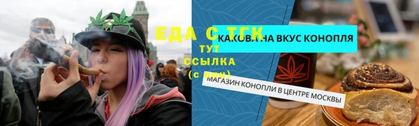 индика Краснотурьинск