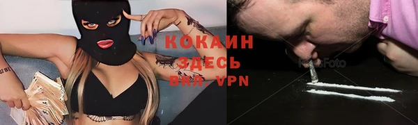 индика Краснотурьинск