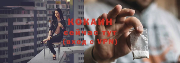 индика Краснотурьинск