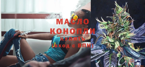 индика Краснотурьинск
