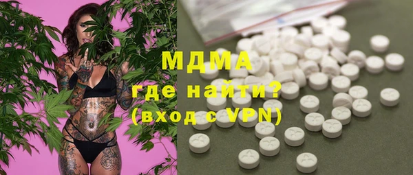 индика Краснотурьинск