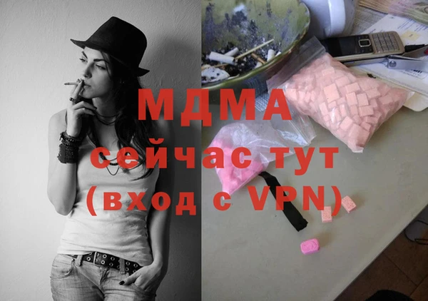 индика Краснотурьинск
