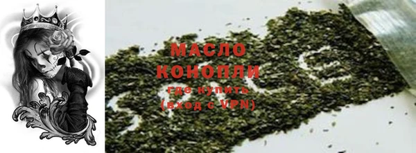 индика Краснотурьинск