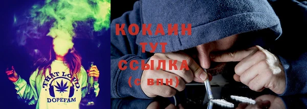 индика Краснотурьинск